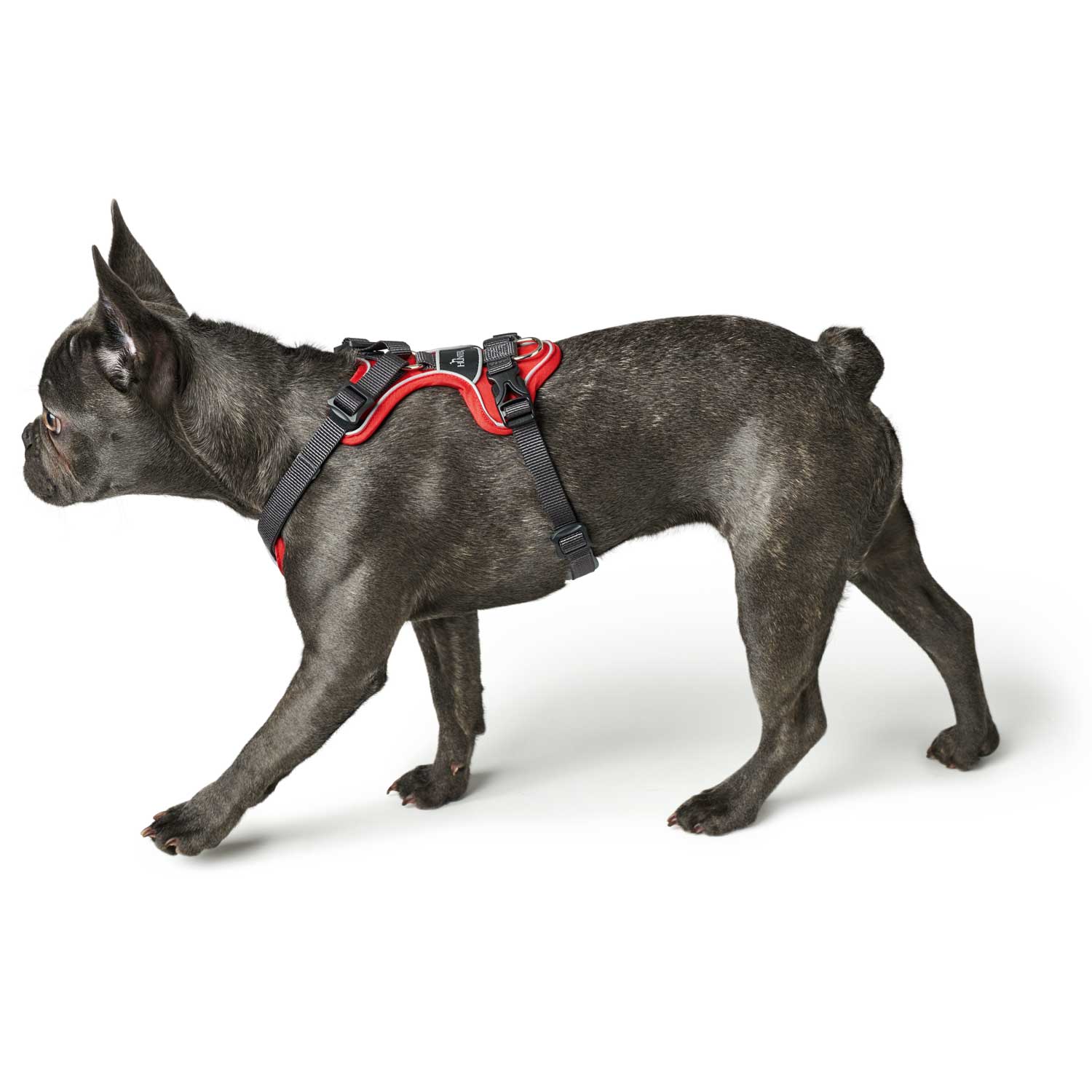 Hunter Harness Divo - Image 3