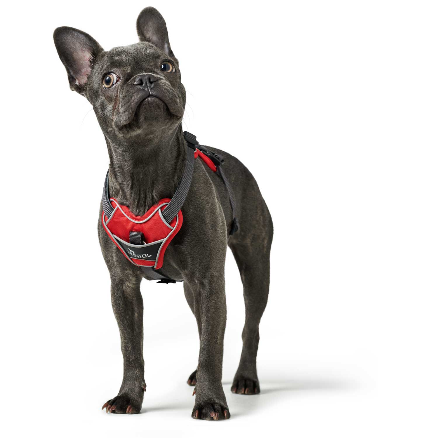 Hunter Harness Divo - Image 5
