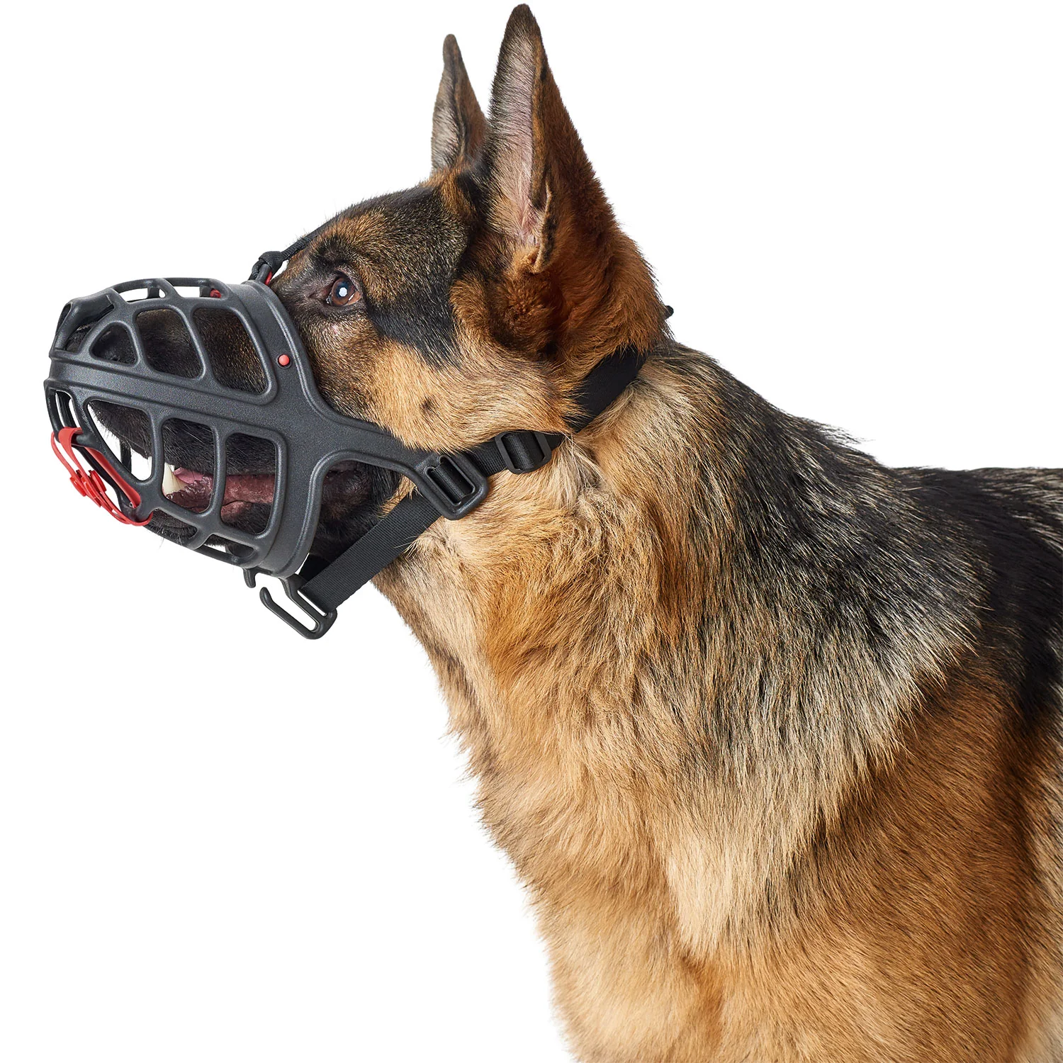 Hunter Muzzle Albury - Image 3
