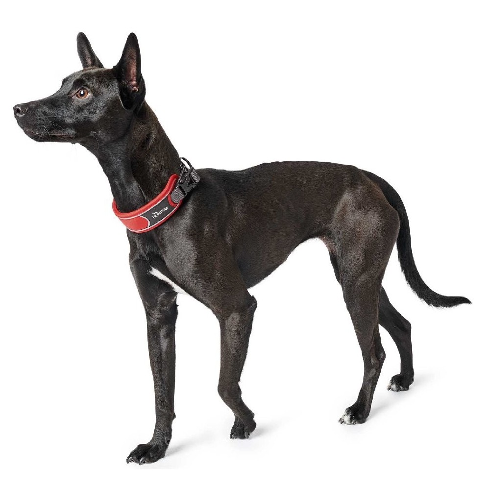 Hunter Divo Collar - Image 3