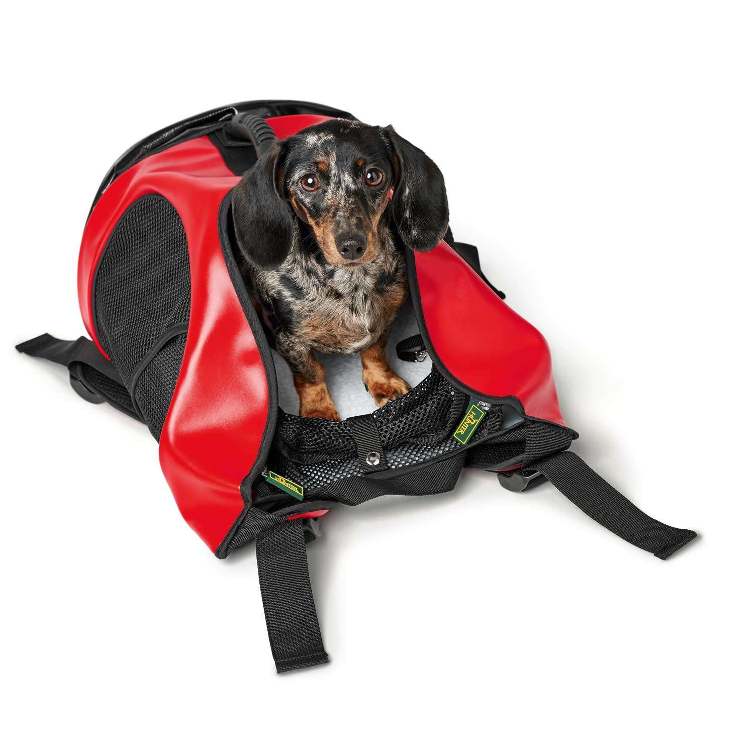 Hunter Backpack Taylor - Imagen 5