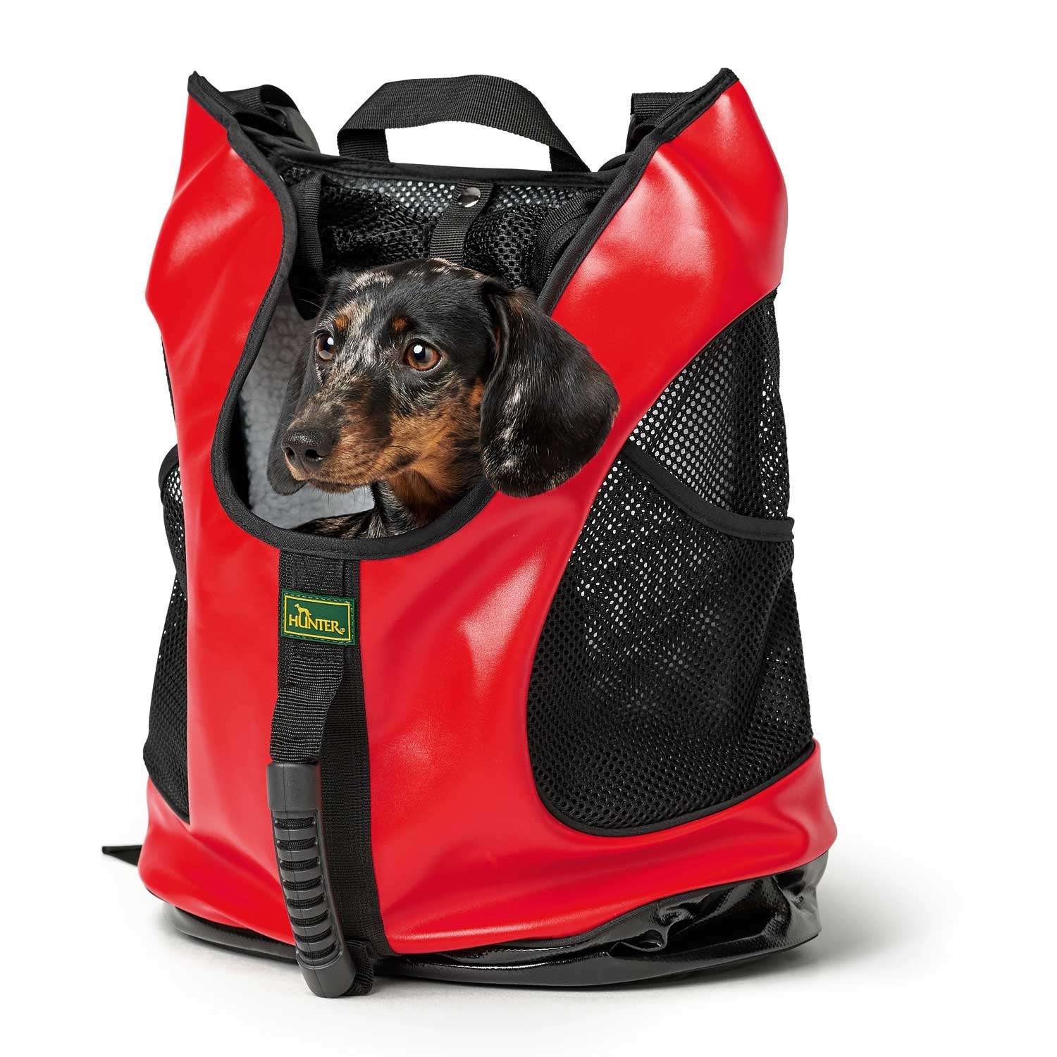 Hunter Backpack Taylor - Imagen 6