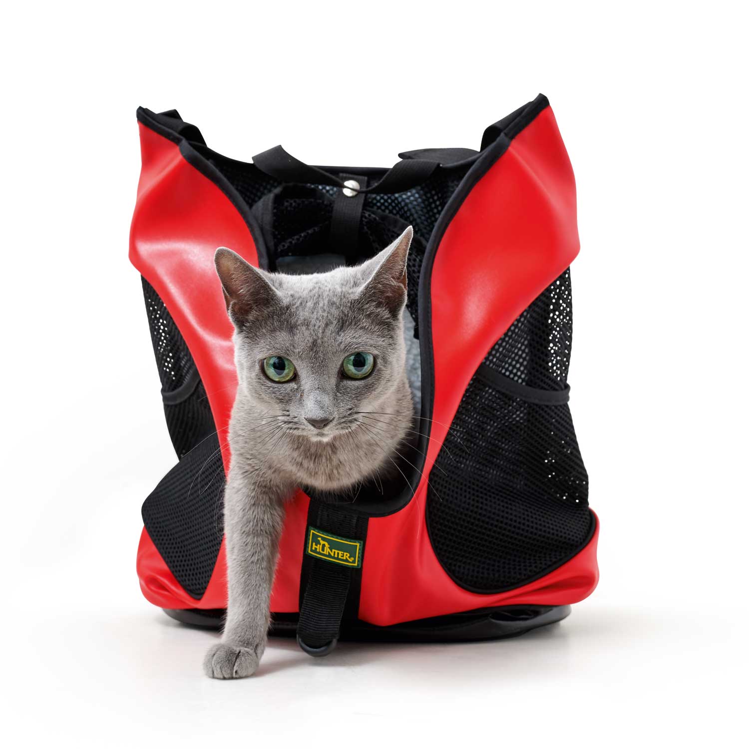 Hunter Backpack Taylor - Imagen 7