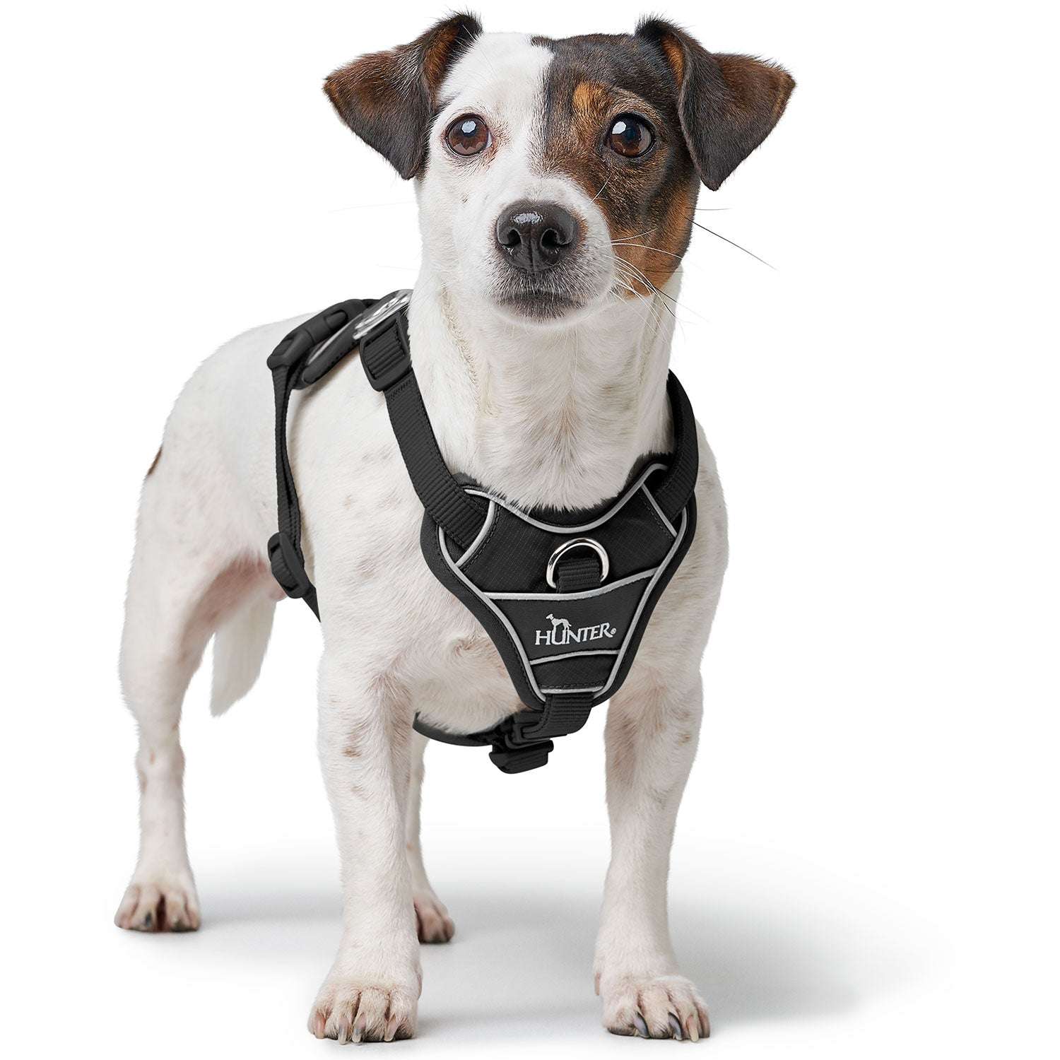 Hunter Harness Divo up - Image 4