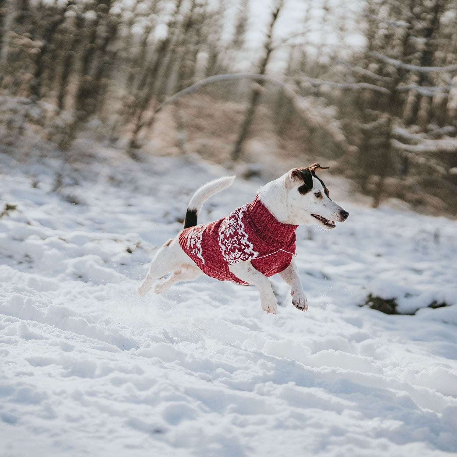 Hunter Jersey Red Birka - Imagen 5