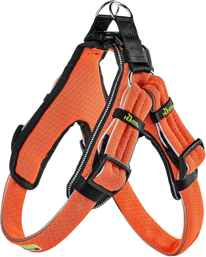 Hunter Arnés Manoa Quick Light