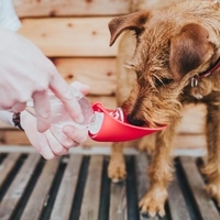 List Outdoor Water Bottle with Silicone Bowl - Image 4