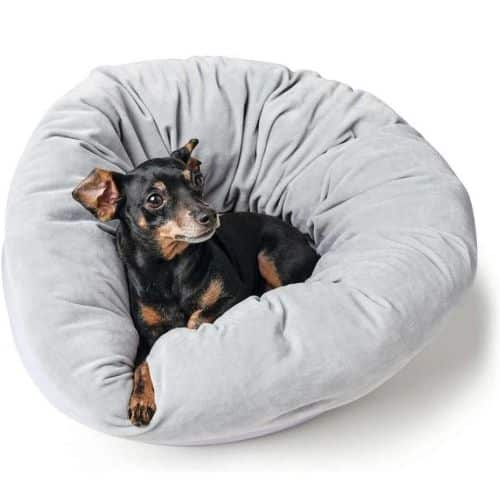 Camas para perros